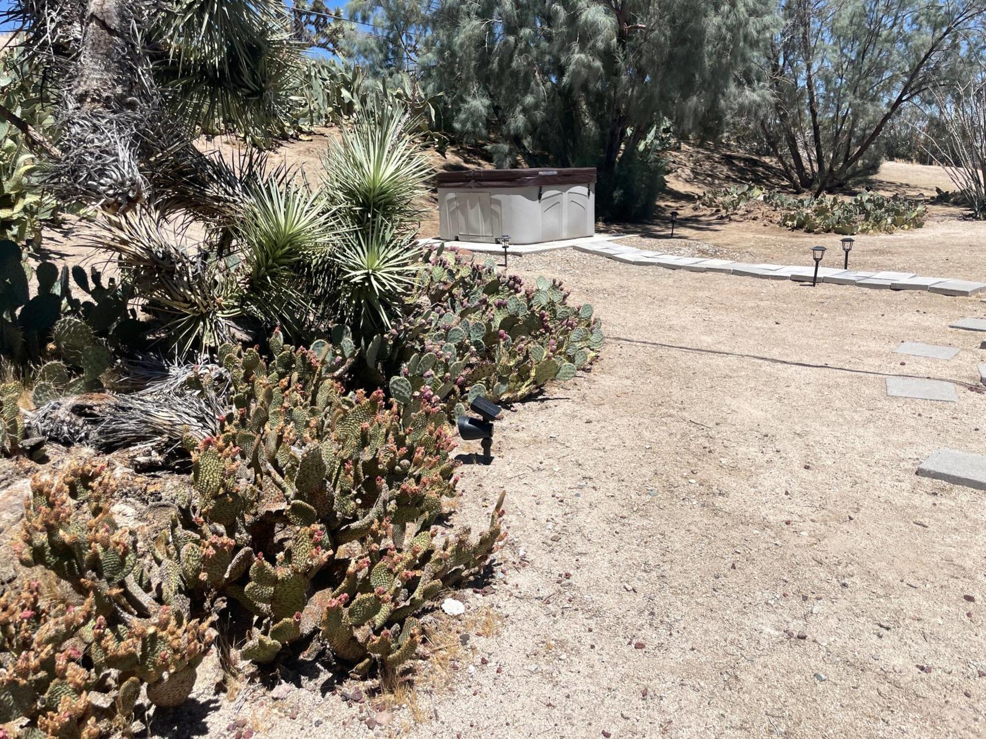 Mojave Desert Pied-A-Terre Yucca Valley Dış mekan fotoğraf